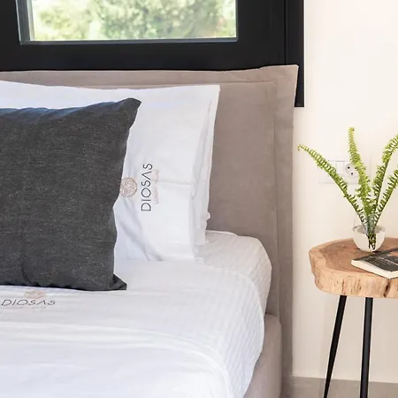 וילה Diosas Luxury Andipáta