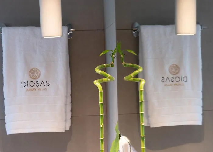 Diosas Luxury Βίλα *